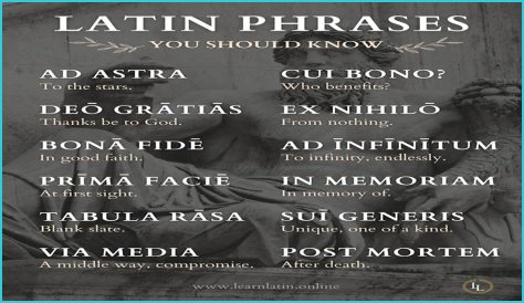 A Profile Of A Latin Beauty